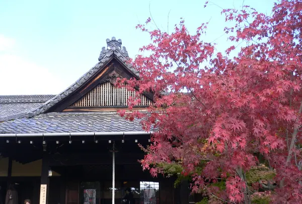 美人祈願の「吉祥紅葉」