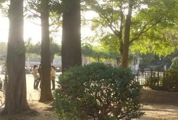 万代池公園