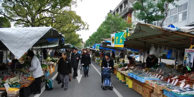 お手軽な日曜日の高知市内観光コース