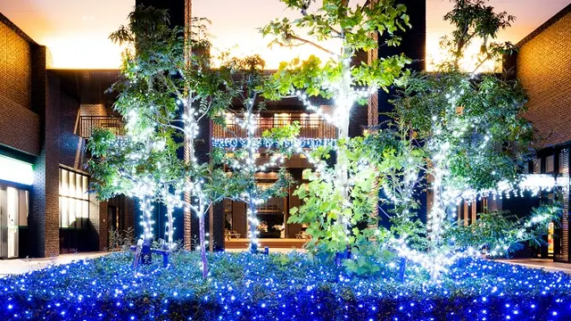 the SOHO（イルミネーションアイランドお台場 2024）