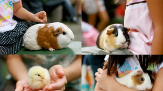 パパ~いっしょに遊ぼうよ! こども自然公園 ~予算は0円?