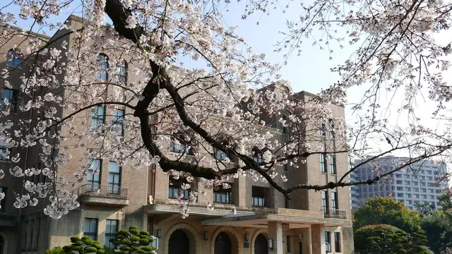 隅々まで探索!知ってるようで知らない鶴舞公園の素顔
