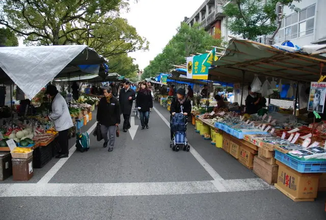 お手軽な日曜日の高知市内観光コース