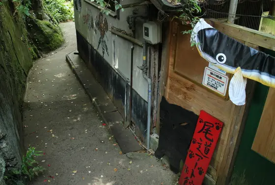 この世界観！