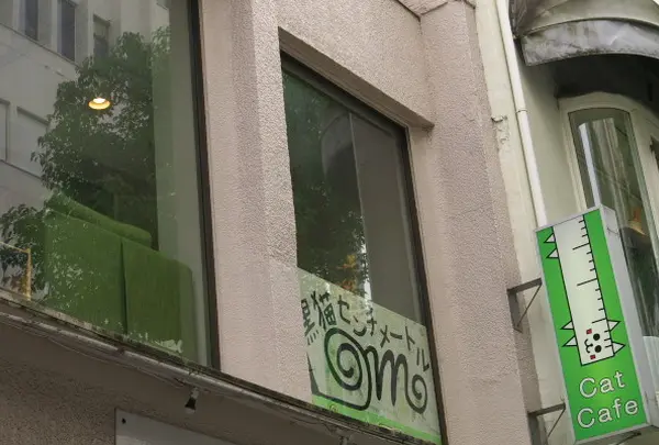 cat cafe ねこびやか 　猫cm