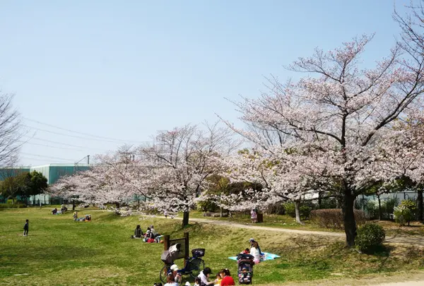 北山公園