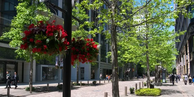 ヨーキー・レオと、有楽町から丸の内へステキな緑のなかを散歩しよう！