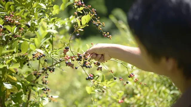 【阿蘇郡・南小国町】ファミリーで行くならココ。体験&温泉の旅