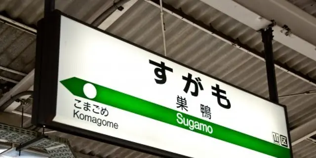 花見の季節