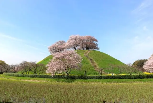 絶景SAITAMA