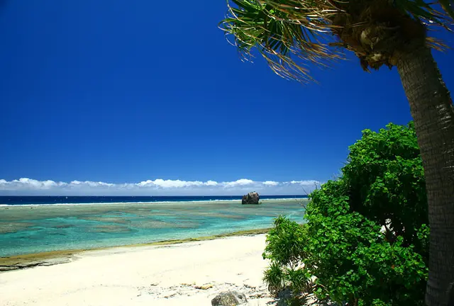 丸ごと淡路島！！