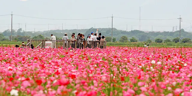 隣りまち福山人が紹介する笠岡おススメプラン