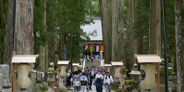 宿坊に泊まって高野山を楽しみ尽くす旅