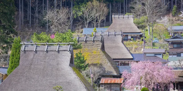 まだ見ぬ京都へ！京都・美山町での過ごし方