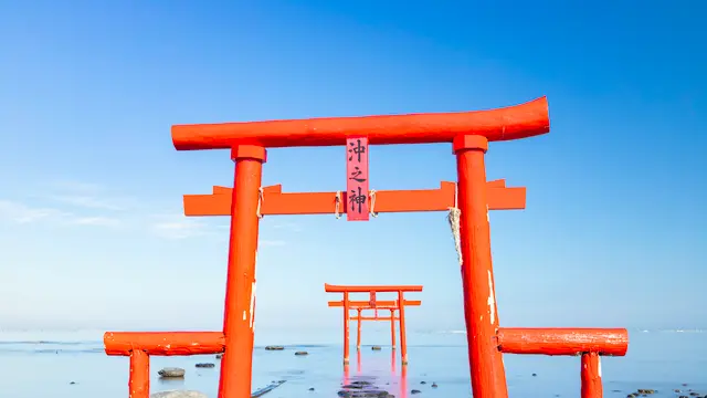 春の絶景 唐津・太良