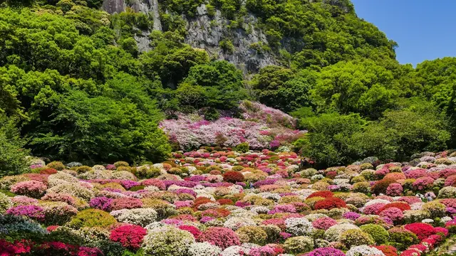 春のドライブ　武雄～伊万里