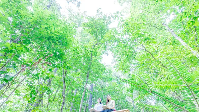 【大阪~京都美山】手ぶらで満喫♪自然の中でピクニック&E-bikeレンタサイクル