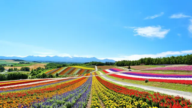 視察研修旅行in北海道　〜旭川→札幌→余市→小樽〜