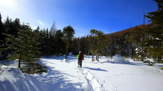 新年にスノーシューでまっさらな白銀の雪原を歩く!/乗鞍高原