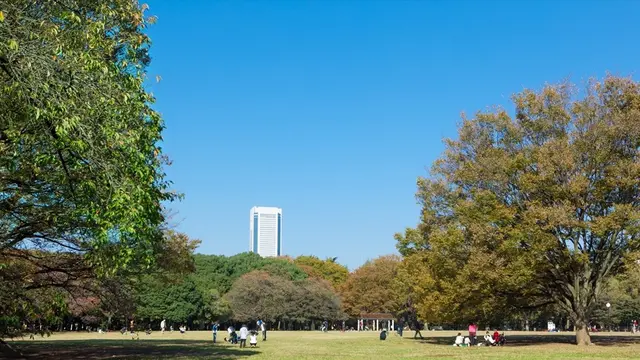 代々木公園でピクニックランチ&プロ野球観戦