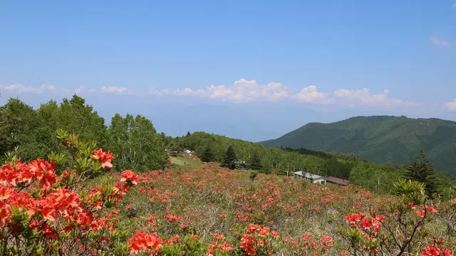 信州須坂6月の"花いっぱい"おでかけプラン
