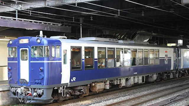 イルミネーションとイベント列車