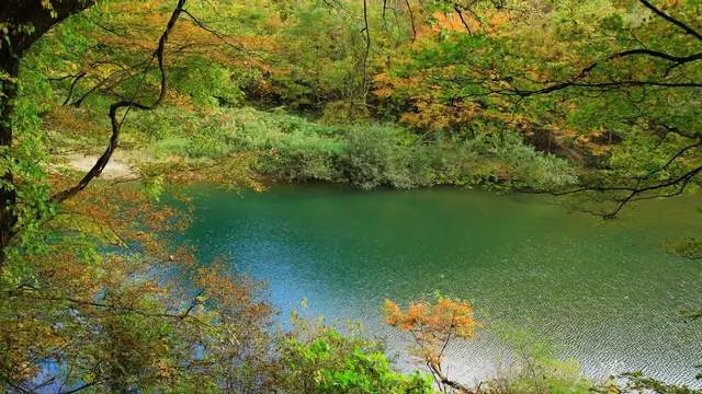 6月の秋田で自然を満喫🍃