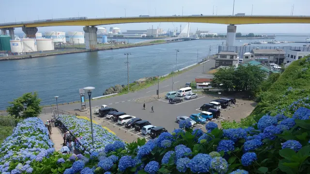 八戸さんぽマイスターと巡るリアルな街体験
