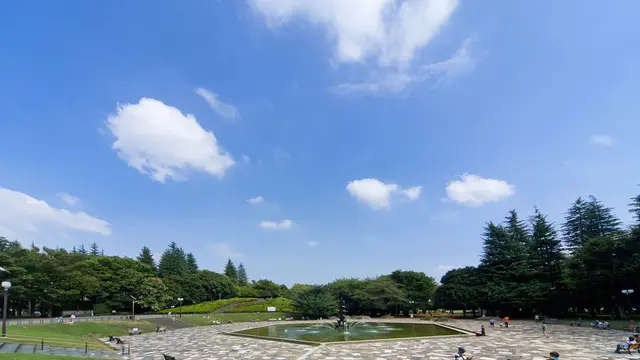 【三宿】都会でみんな大好きピクニックをしよう♡