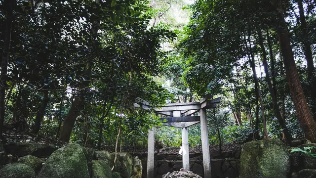 【京都】右京区のフォトジェニックなおでかけスポット📷🚶