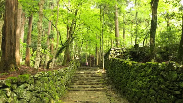 京都寺社巡りの巻
