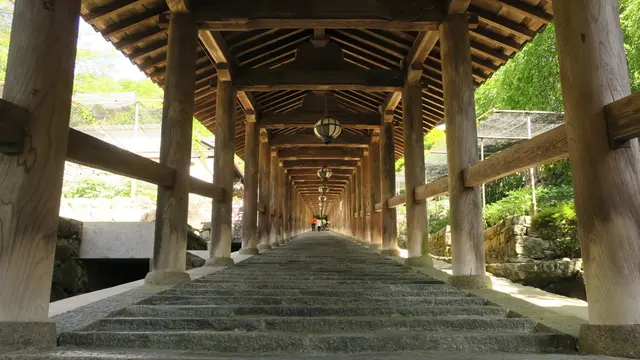 西国巡礼時々寄り道【奈良】