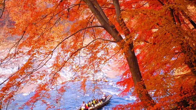 母と娘がトモダチになる場所