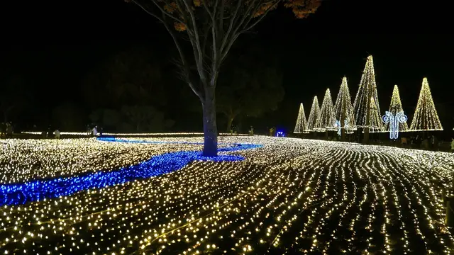 名古屋と岐阜のイルミネーションスポット巡り2017
