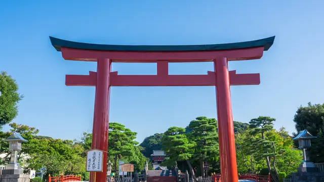 鶴岡八幡宮楽しかったよー