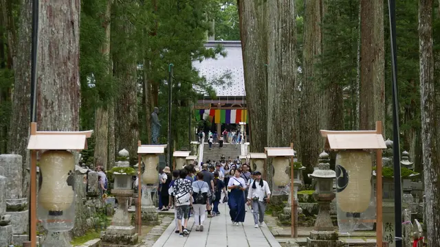宿坊に泊まって高野山を楽しみ尽くす旅