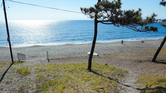 【おひとりさま葉山ぶらり旅プラン】ぼーっとするのに最高な海辺の街です！