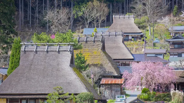 まだ見ぬ京都へ！京都・美山町での過ごし方