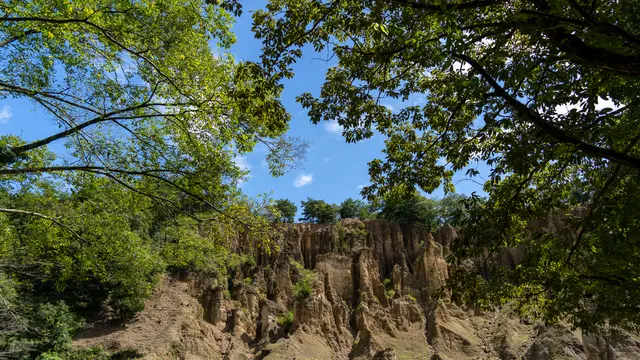 【徳島・三好】観光に最適！おすすめスポット集✨