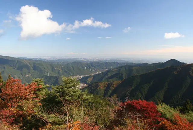 愛犬と一緒に御岳山でハイキング☆