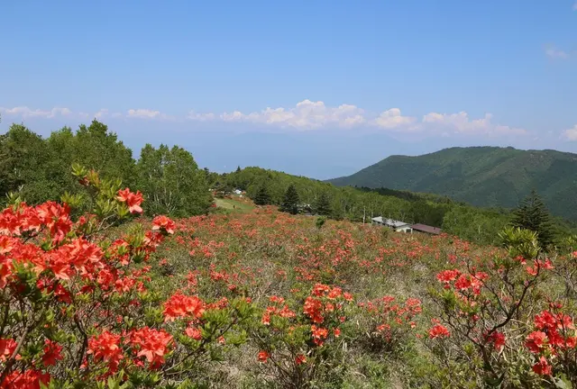 信州須坂６月の"花いっぱい"おでかけプラン