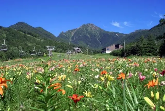 恋する恋活！！in 清里