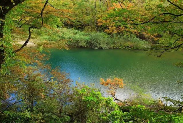 6月の秋田で自然を満喫🍃