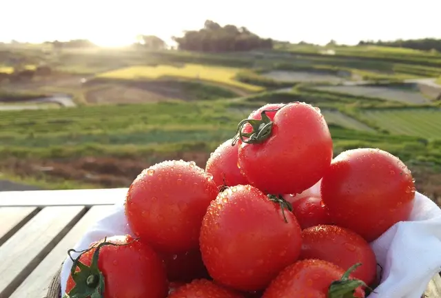 【横山史の淡路島ツアー】食体験＋日本遺産＋花の島＋御食国