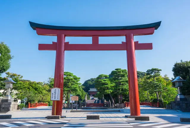 鶴岡八幡宮楽しかったよー