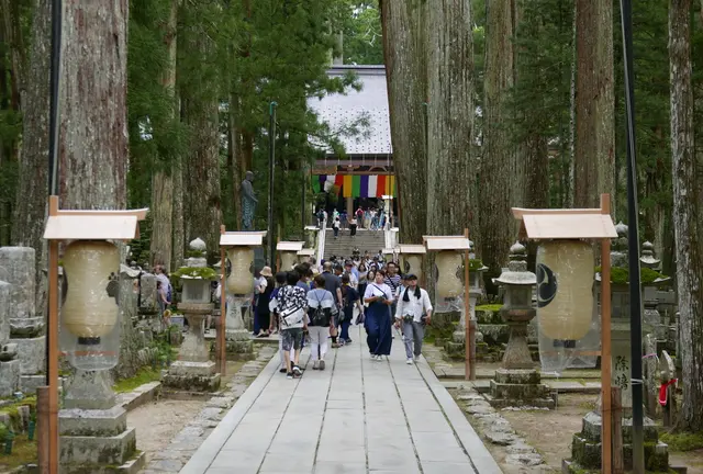 宿坊に泊まって高野山を楽しみ尽くす旅