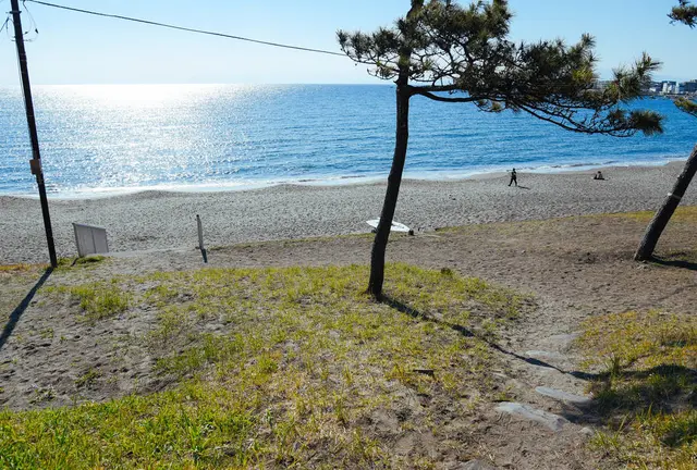 【おひとりさま葉山ぶらり旅プラン】ぼーっとするのに最高な海辺の街です！
