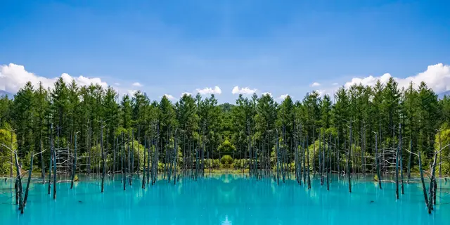 全国の行きたいところ！🌳♨️