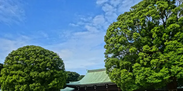 【原宿〜青山】手をつないでのんびり散策。大人向けデートプラン。
