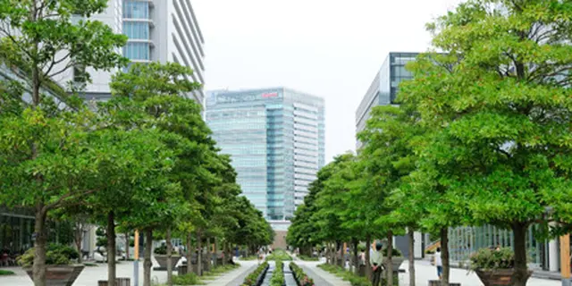 横浜のんびりデート